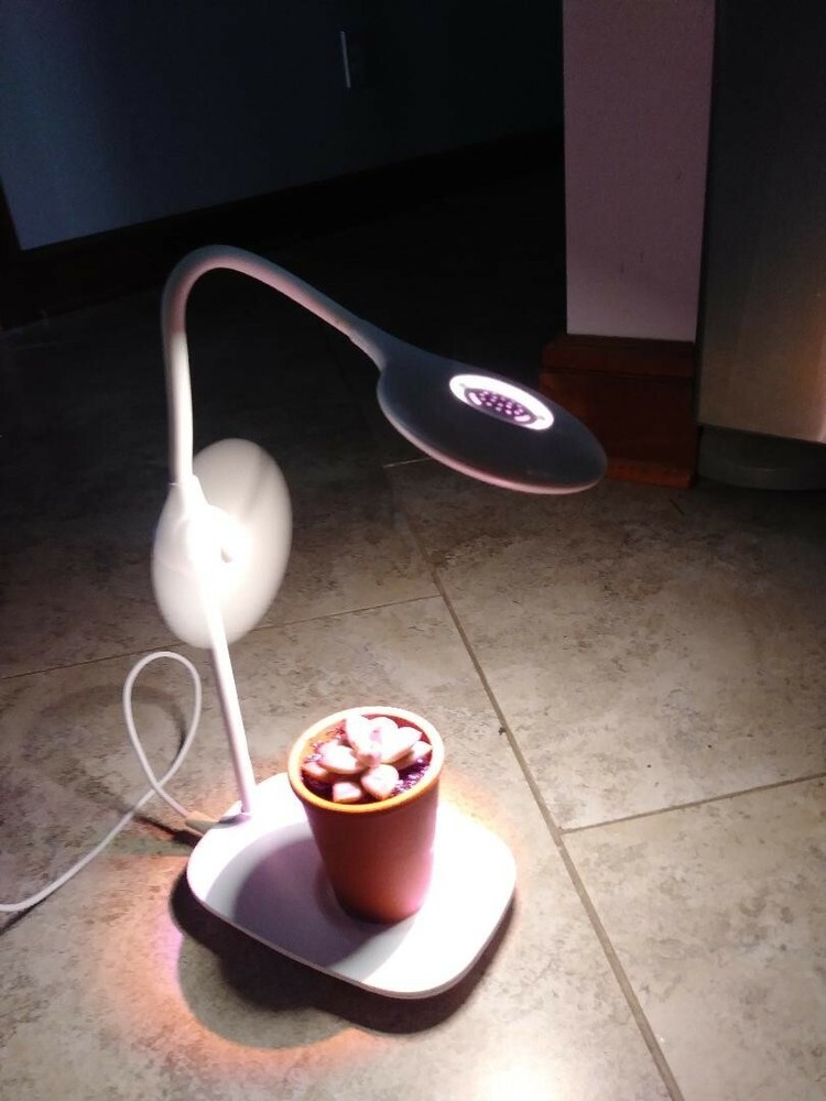 Desktop PLANT LIGHT! Mini LED Office Desktop or Side Table Grow Lamp Adjustable