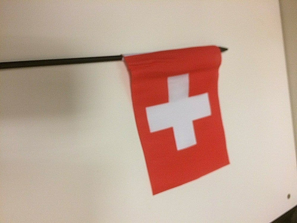 New 4" x 6" and 6" x 9" Hand Held Flags
