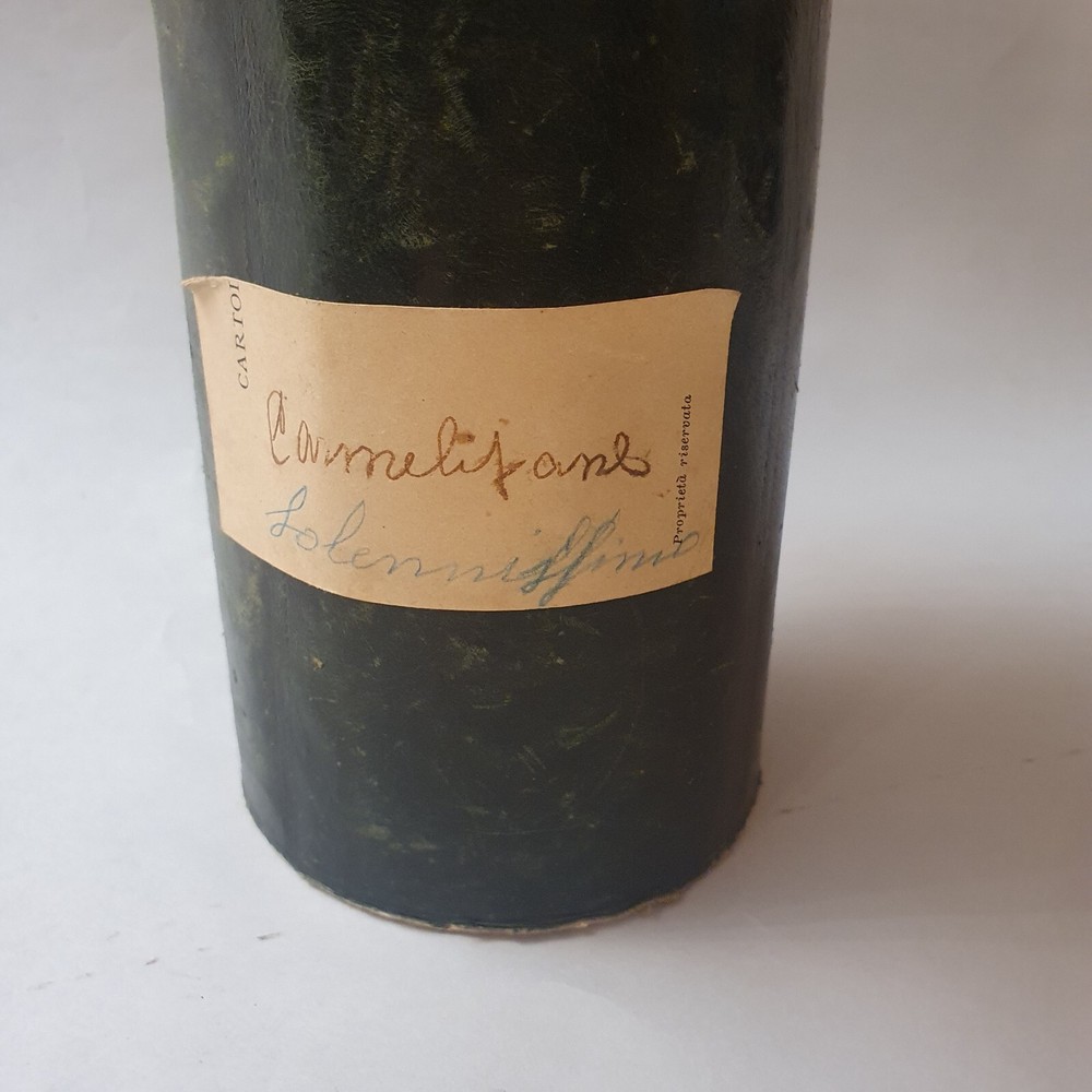 Antique Chalice Case