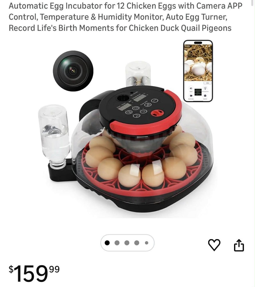 12 Egg Incubator Automatic Turner Digital Temperature Control Chicken Duck Hatch