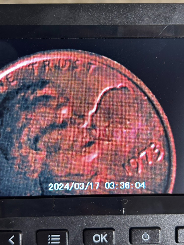 1973 Lincoln Penny No Mint Mark "buffalo?" Error