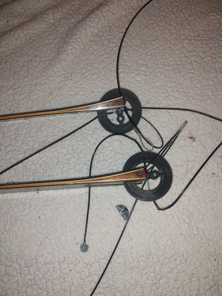 Vintage Darton WH600 Compound Bow Limbs And Cams