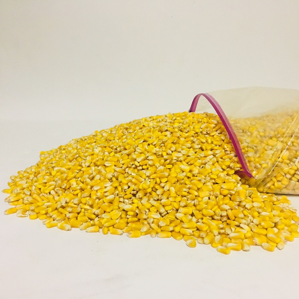 Whole Kernel Corn Animal Wildlife Feed Arts & Crafts 10 Lbs