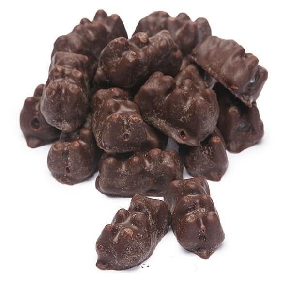 Bayside Candy - Dark Chocolate Covered Gummy Bear Candies