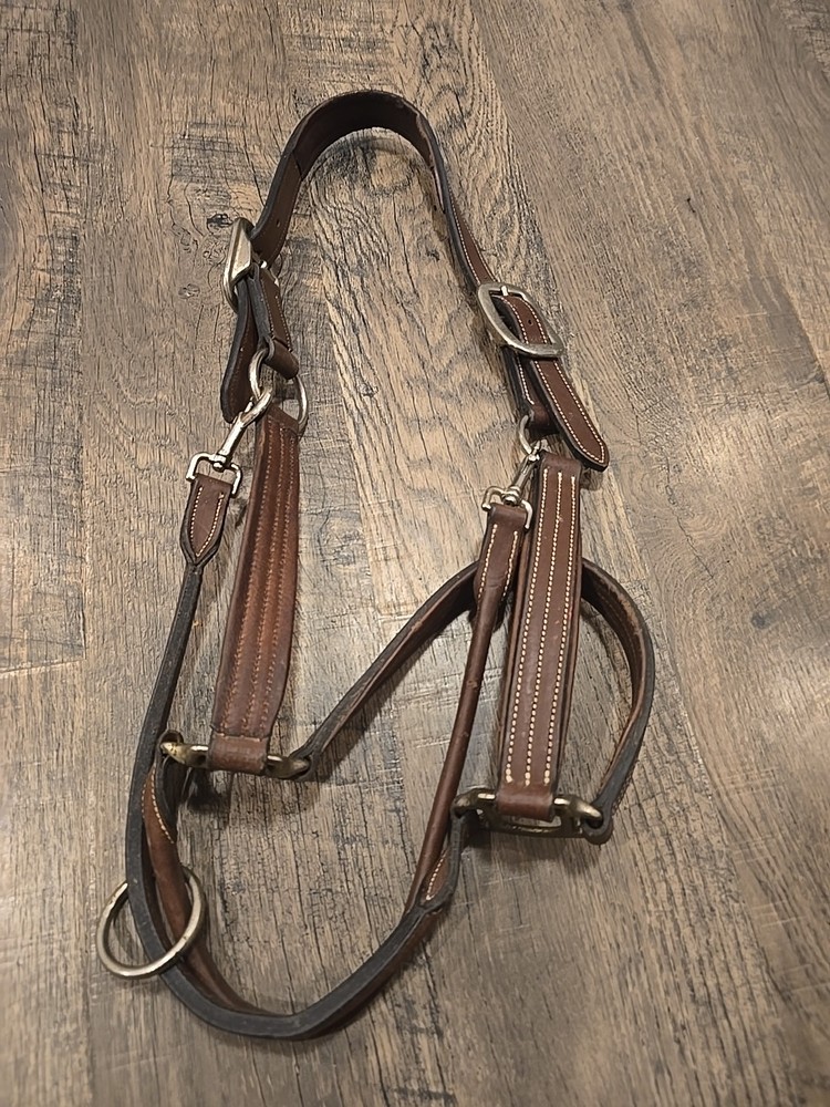 horse halter