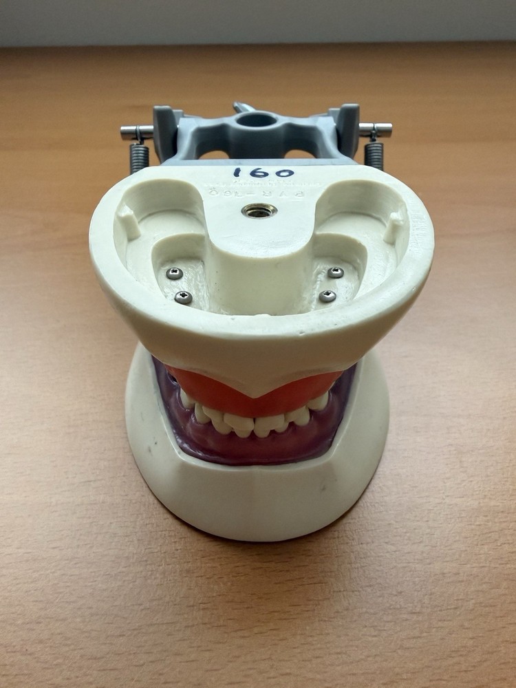 Columbia Dental Dentoform Model 760
