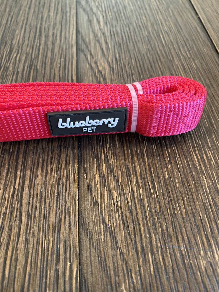 Blueberry Pet Leash Pink Size Medium