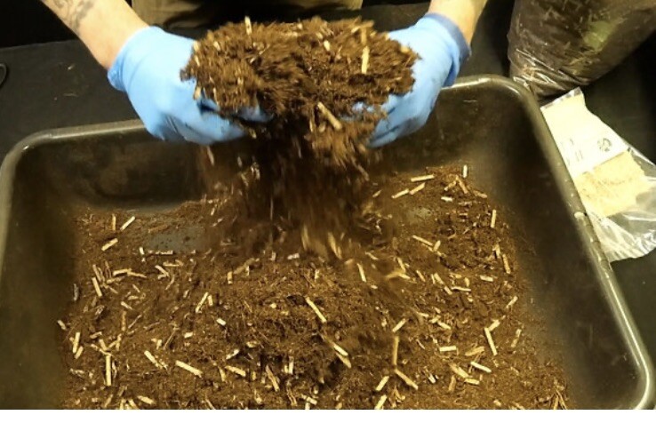 Worms Bedding Kit Super Special Formula 100% Organic + 8” Soil Thermometer.