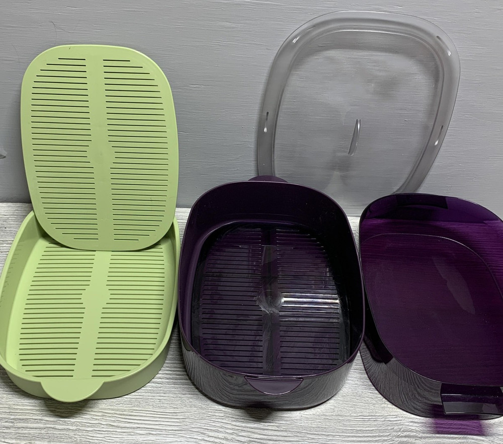 Tupperware Oval MicroCooker Microwave Steamer Set w/ Lid, Inserts, Manual