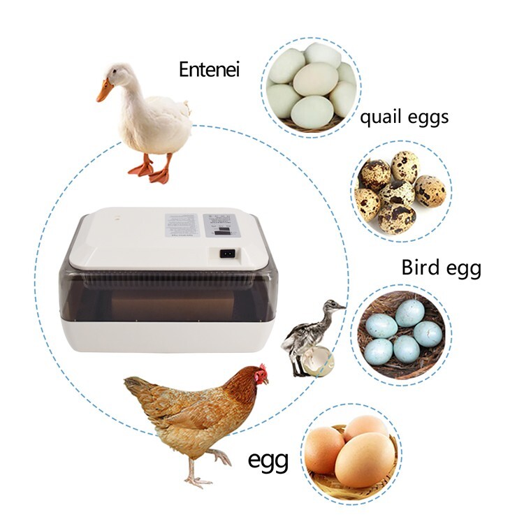 JANOEL24S Luxury 24 Eggs Digital Control egg Incubators automatic incubator