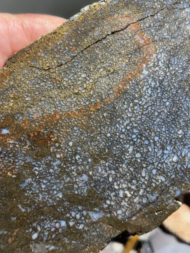 Dinosaur bone rough **hxtled large slab.