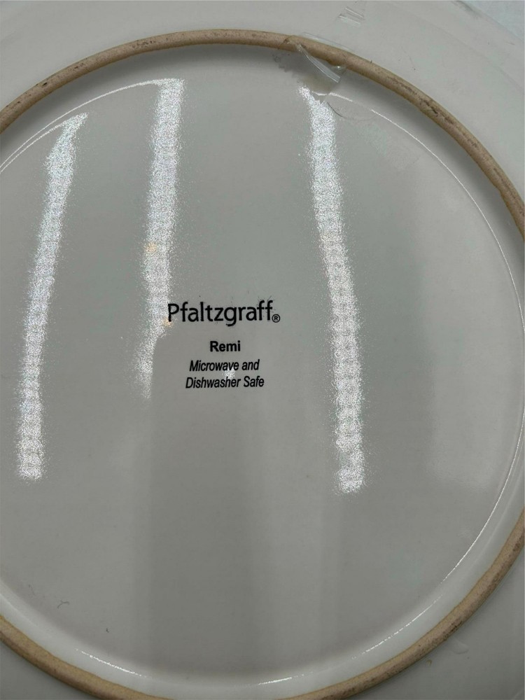 2) PFALTZGRAFF REMI BEIGE DINNER PLATES