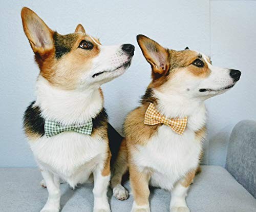 Dog Collar with Bowtie Durable Adjustable and Comfortable Collar for Small Do...