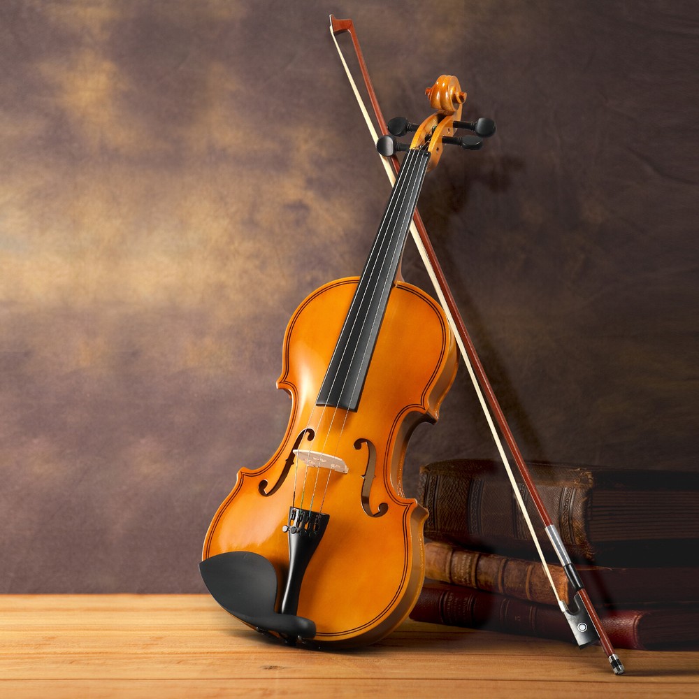 4/4 Full Size Violin Set Case Bow Shoulder Rest Rosin Strings Bridge Sordine