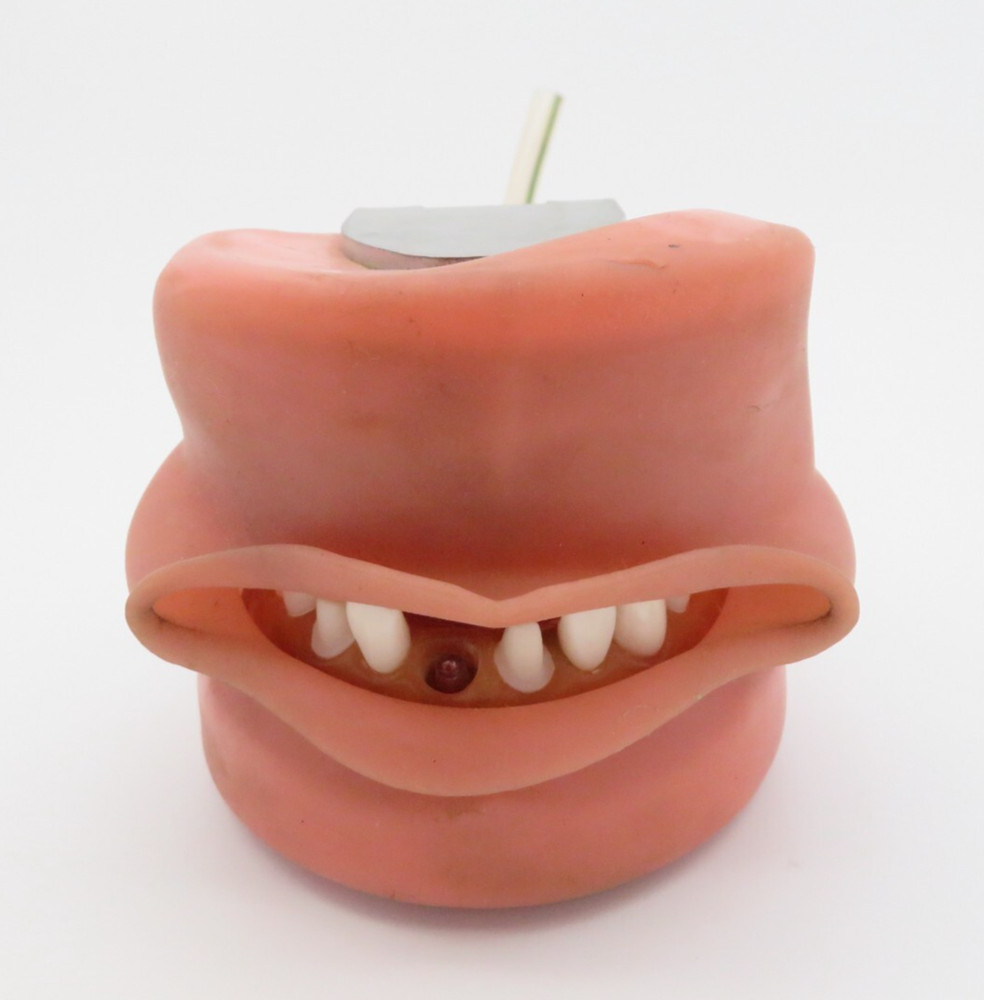 Dental Training Typodont, Dentist Practice Mouth with Teeth