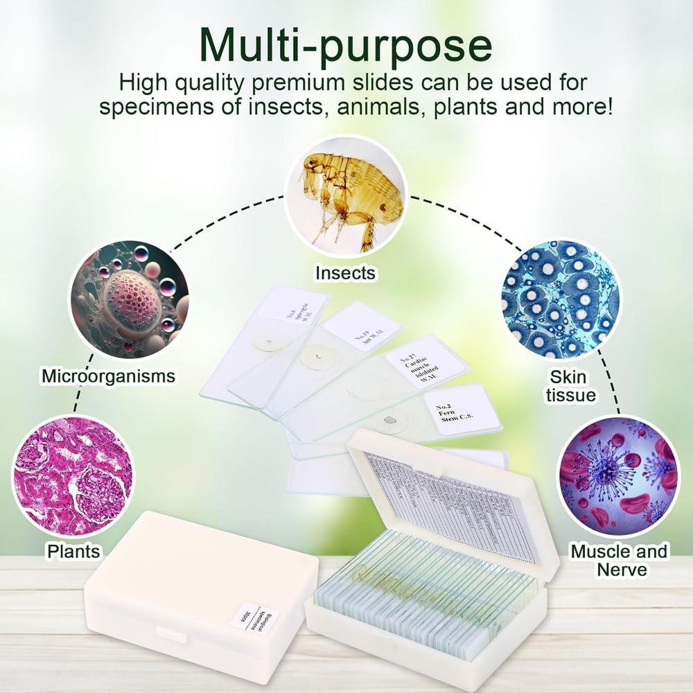 30 Microscope Slides with Diverse Specimens for Kids' Science Discovery