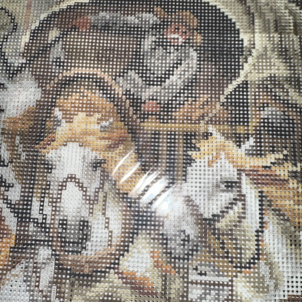 Orchidea Needlepoint Canvas Only Adolf Constanti...50x50 Cm