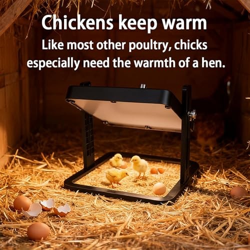 Brooder Heater for Chicks – 10.8" Radiant Heat Plate with Adjustable Height &