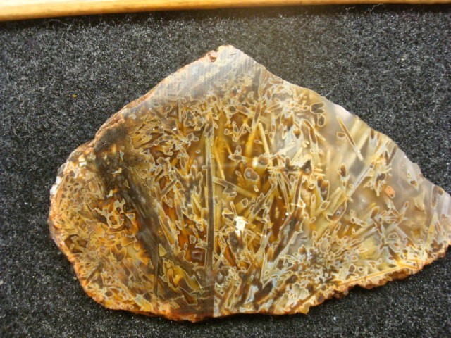 turkish stick agate 2 slab