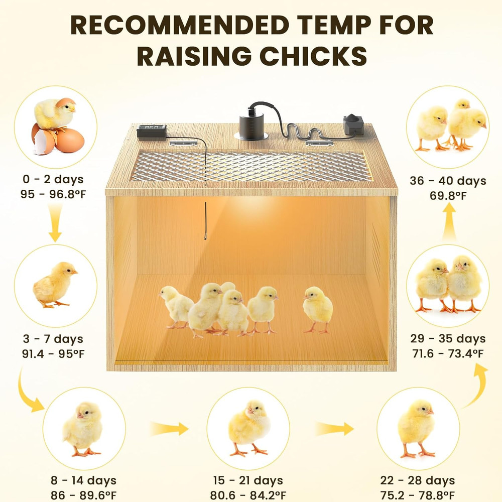 Brooder Box for Chicks, 16 Inch Wooden Chicken Brooder Box with 75W Heat Lamps,
