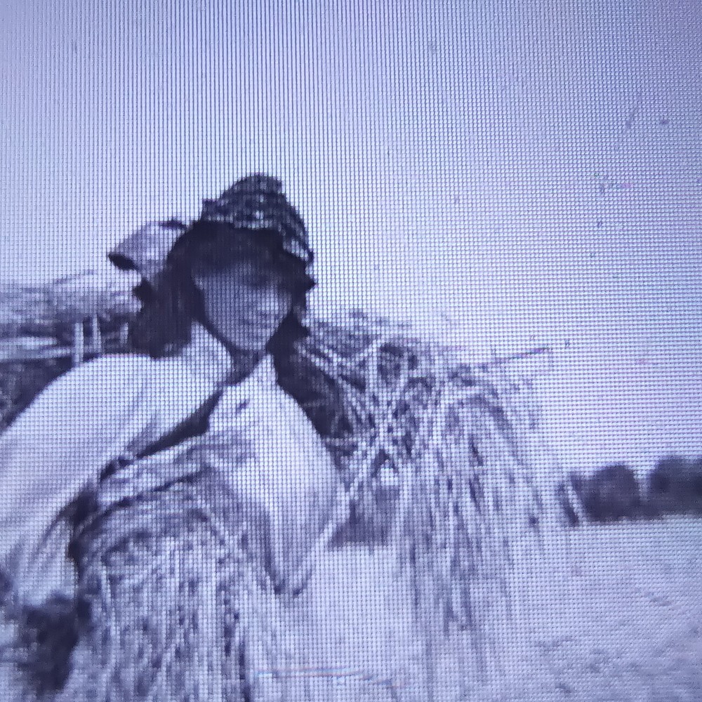 Antique Magic Lantern Slide: Women Sheathing Corn – Greystone, Bath Area