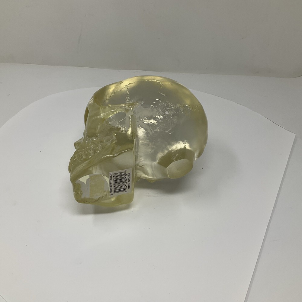 Summit Translucent Skull Head Collectible 2007 Heavy Solid Decoartion 6"