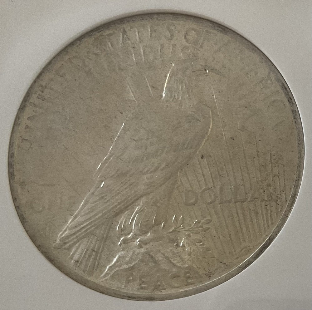 NGC 1923 Peace Silver Dollar, Graded MS63