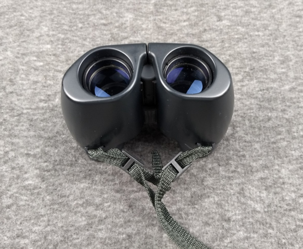 Bushnell Binoculars 10 X 24 Strap & Gray Carrying Case w/ Belt Loop Compact 4x4
