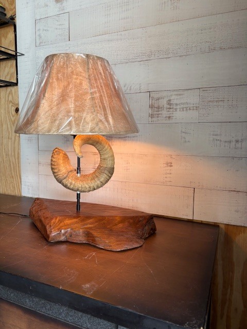 Dall sheep horn Table lamp