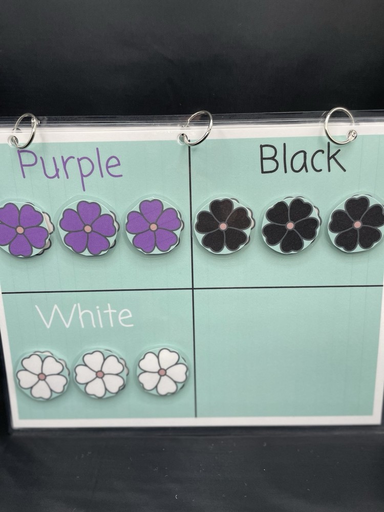 Color Sorting And Matching Children’s File Folder Activity Game Book