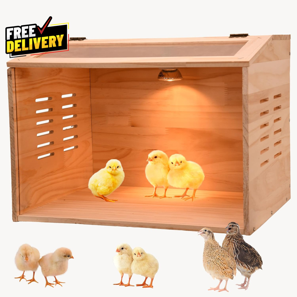 Brooder Box for Chicks 3-8 Chicken Heater Poultry Brooder with Heaters