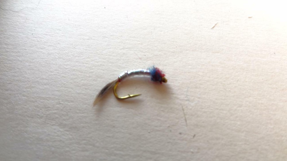 1 DOZ DF-5 RAINBOW WARRIOR (SELECT YOUR SIZE) NYMPH