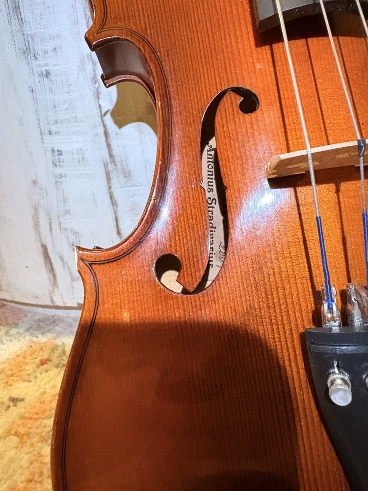 Voila Size 14 Student