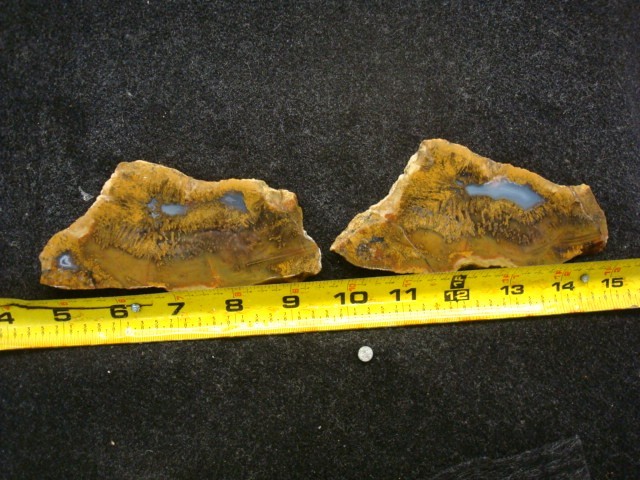 mexican sagenite slabs