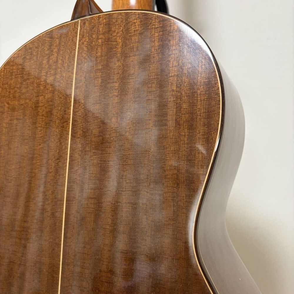 Jose Antonio Gut Classical Guitar Soft Case 6-String