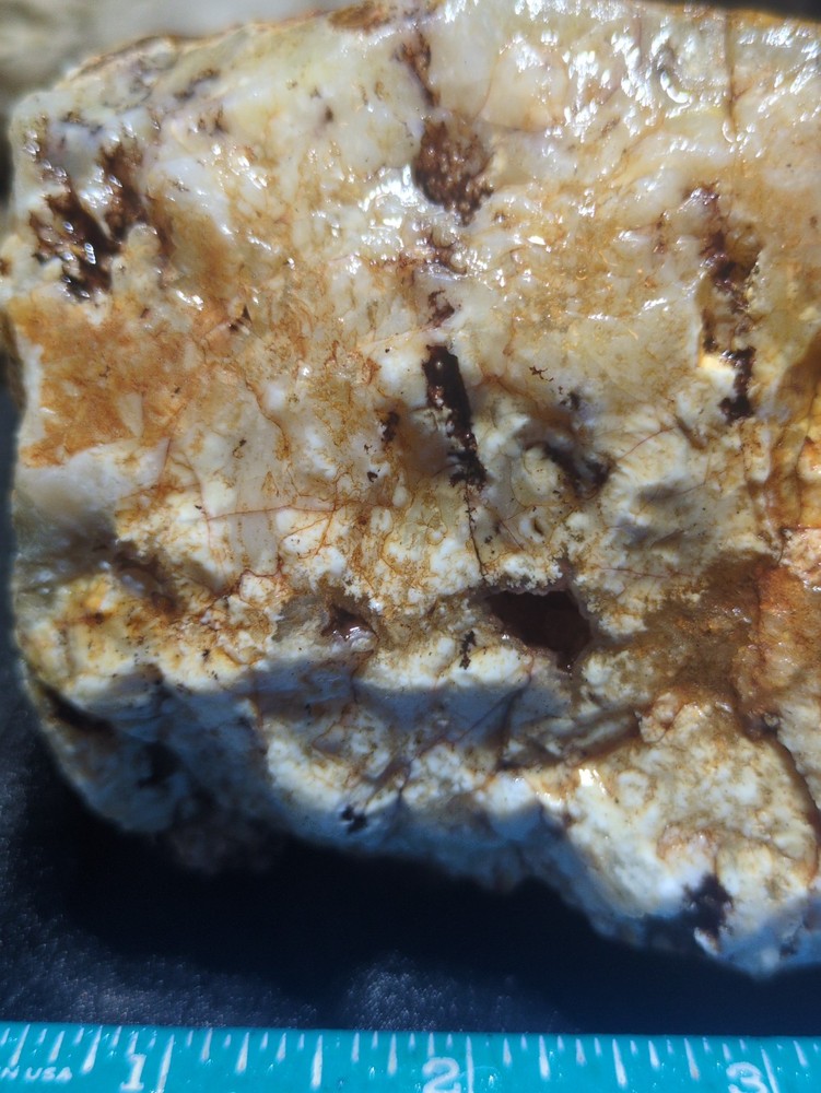 Graveyard Plume Agate w/ Dendric Specimen Natural Form (4lbs 12oz)