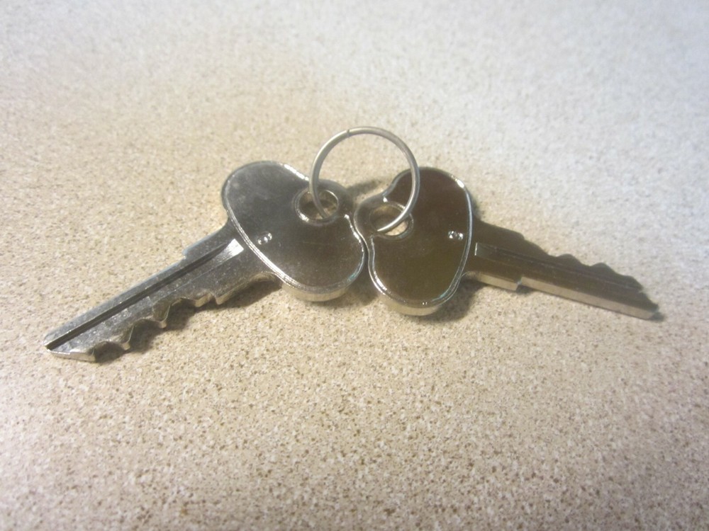 Massey Ferguson 1048684M91 (2) Keys