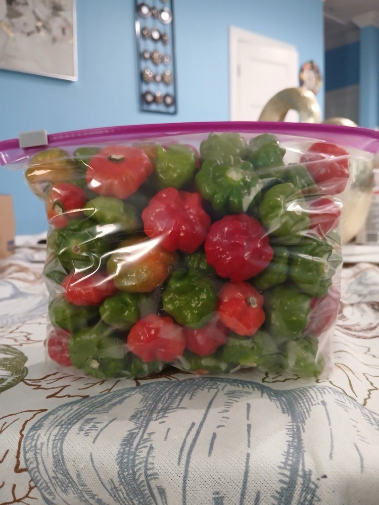 Aji Cachucha