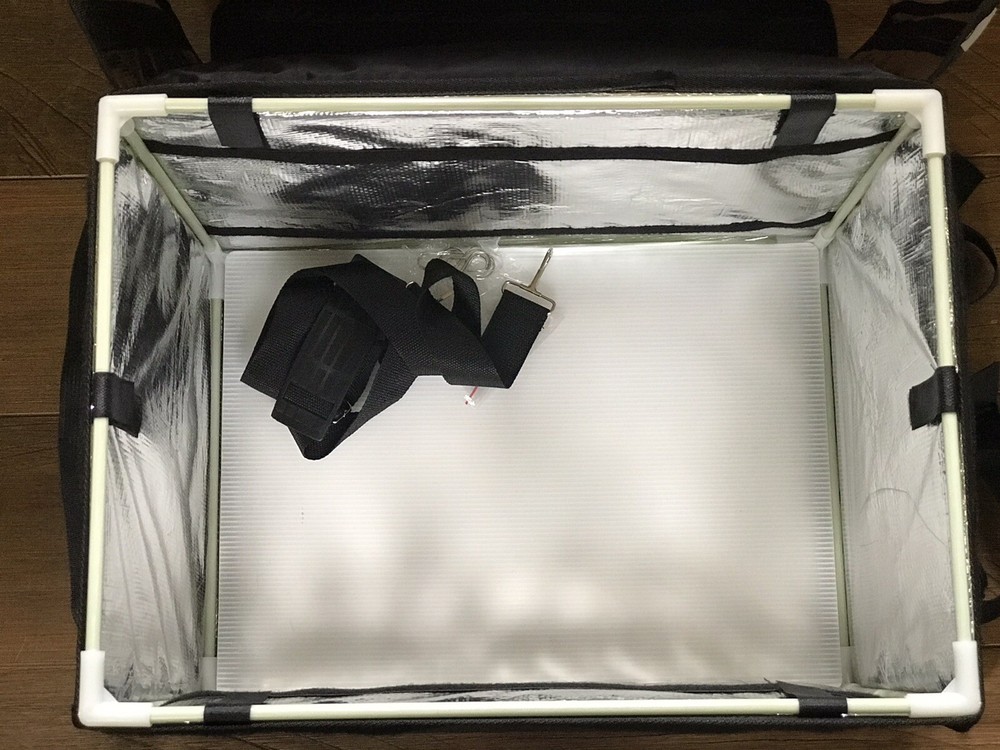 Insulated cargo bag trike