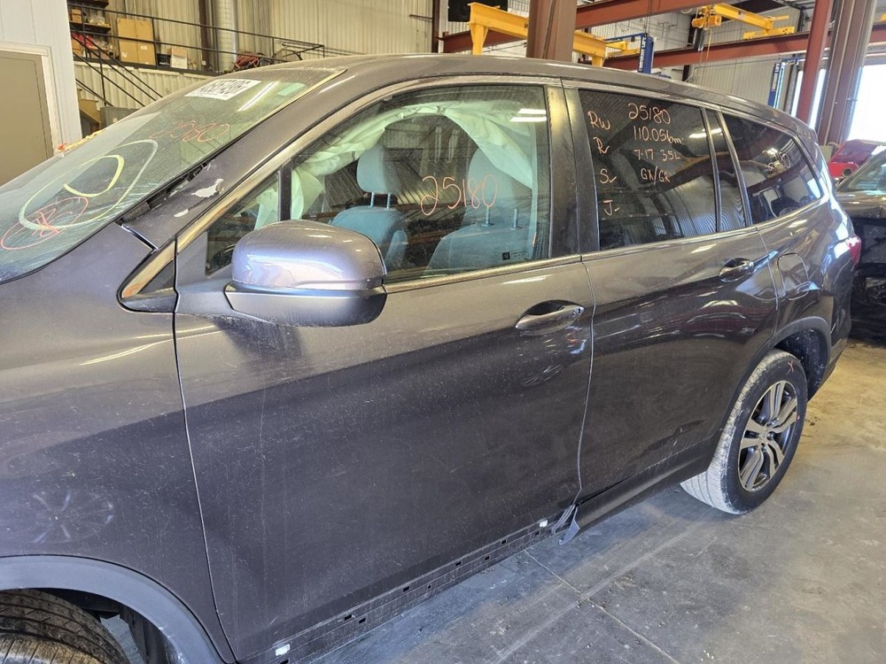 PILOT 2017 Jack 1552265