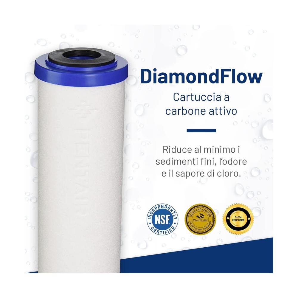 Pentek 655130-43 Sediment/Carbon Filter