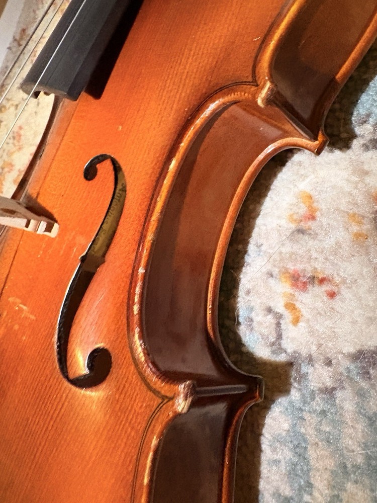 Voila Size 14 Student