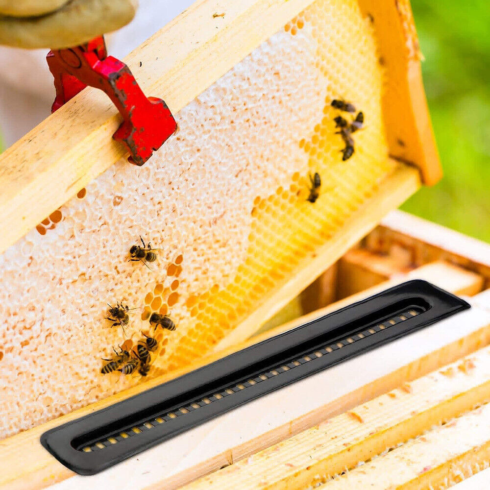 10pcs Plastic Small Bee Hive Beetle Blaster BeeHive Trap Beekeeping Tools EJ