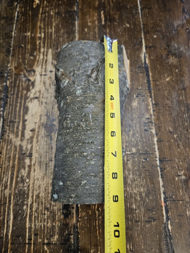 CHERRY Turning Crotch Log 9" Long C297