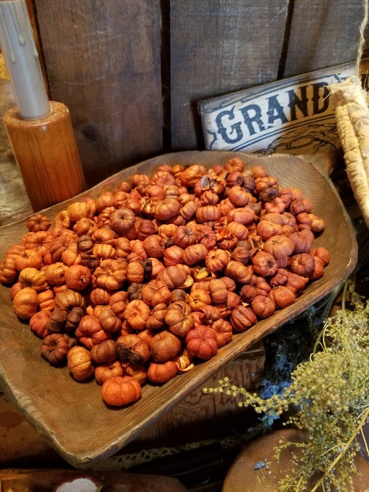 PRIMITIVE MINI PUTKA PODS