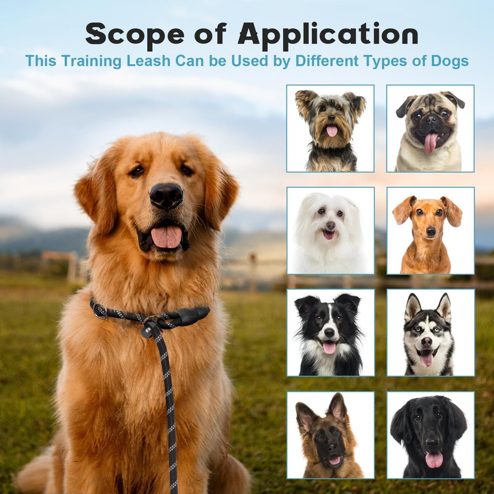 Amrules Dog Leash 6 FT with Comfortable Padded Handle, Training Loop Leash wi...