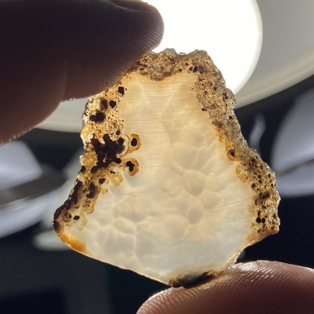 Orbicular Iris Agate Rough Slab