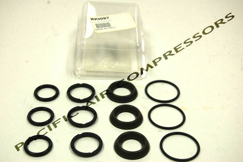 RKI097 GENERAL PUMP SEAL KIT FOR TT202BEFB