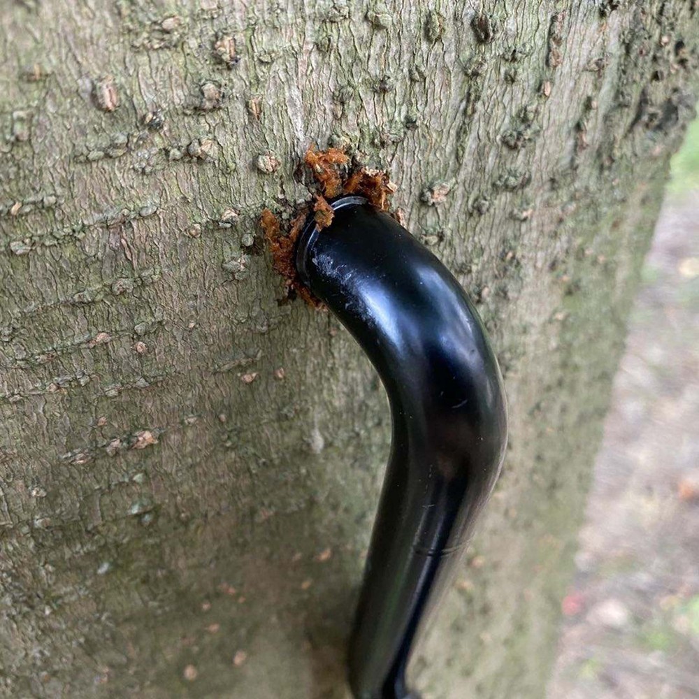 1 Screw In Tree Climbing Steps For Tree Stand Hunting