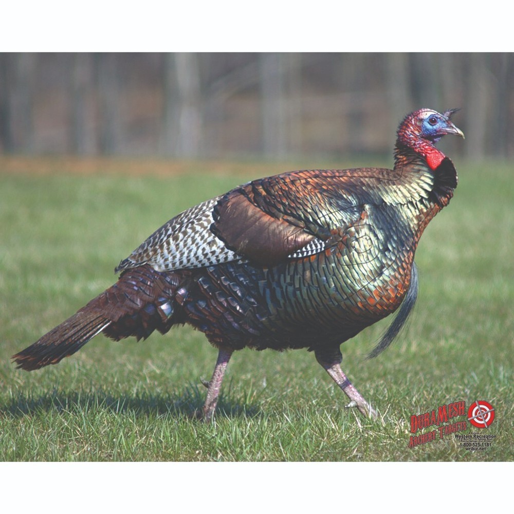 Duramesh Archery Target Turkey 25 in. x 32 in.